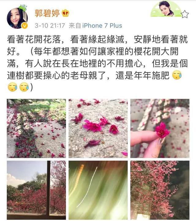  『雅兴』同禽不同命，郭碧婷家的小鸡住豪宅昵称小恶魔，时髦小向太好雅兴