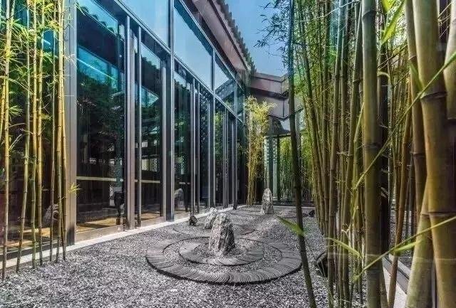 庭院竹子50张图告诉你，花园里种竹子有多高大上，气质瞬间提升