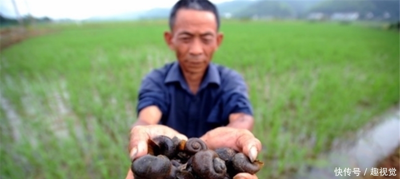  [发现]黄河流域发现“怪鱼”，原来是“外来户”，专家却说是大