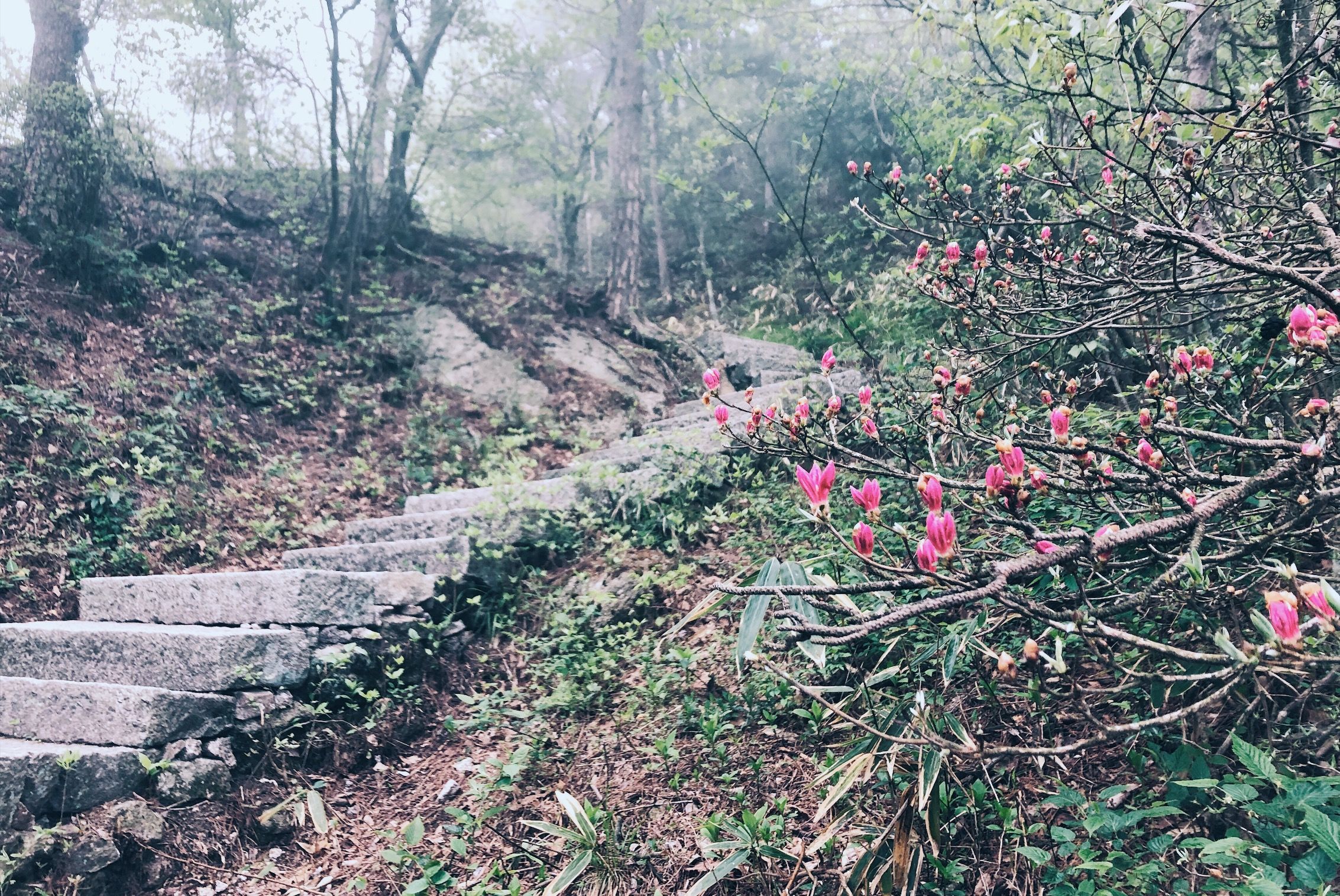 走进北纬30°的天柱山，一处风光秀丽又神秘的地方