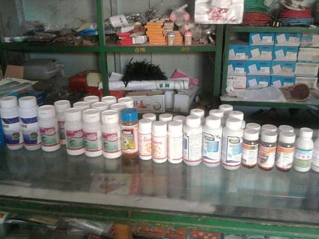 农村创业的朋友，这几个行当最好别碰，没什么“钱”景！