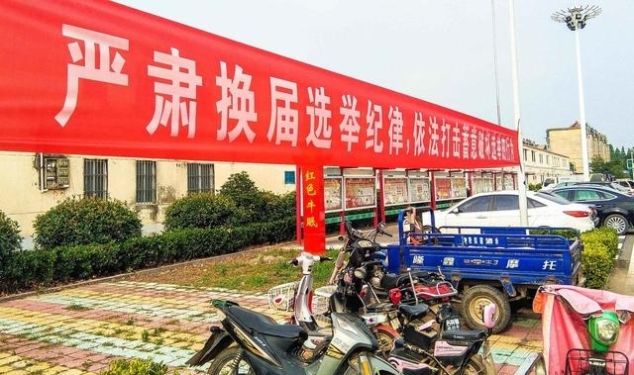 村干部选举有哪些新要求？这10种人不被允许参加，农民叫好