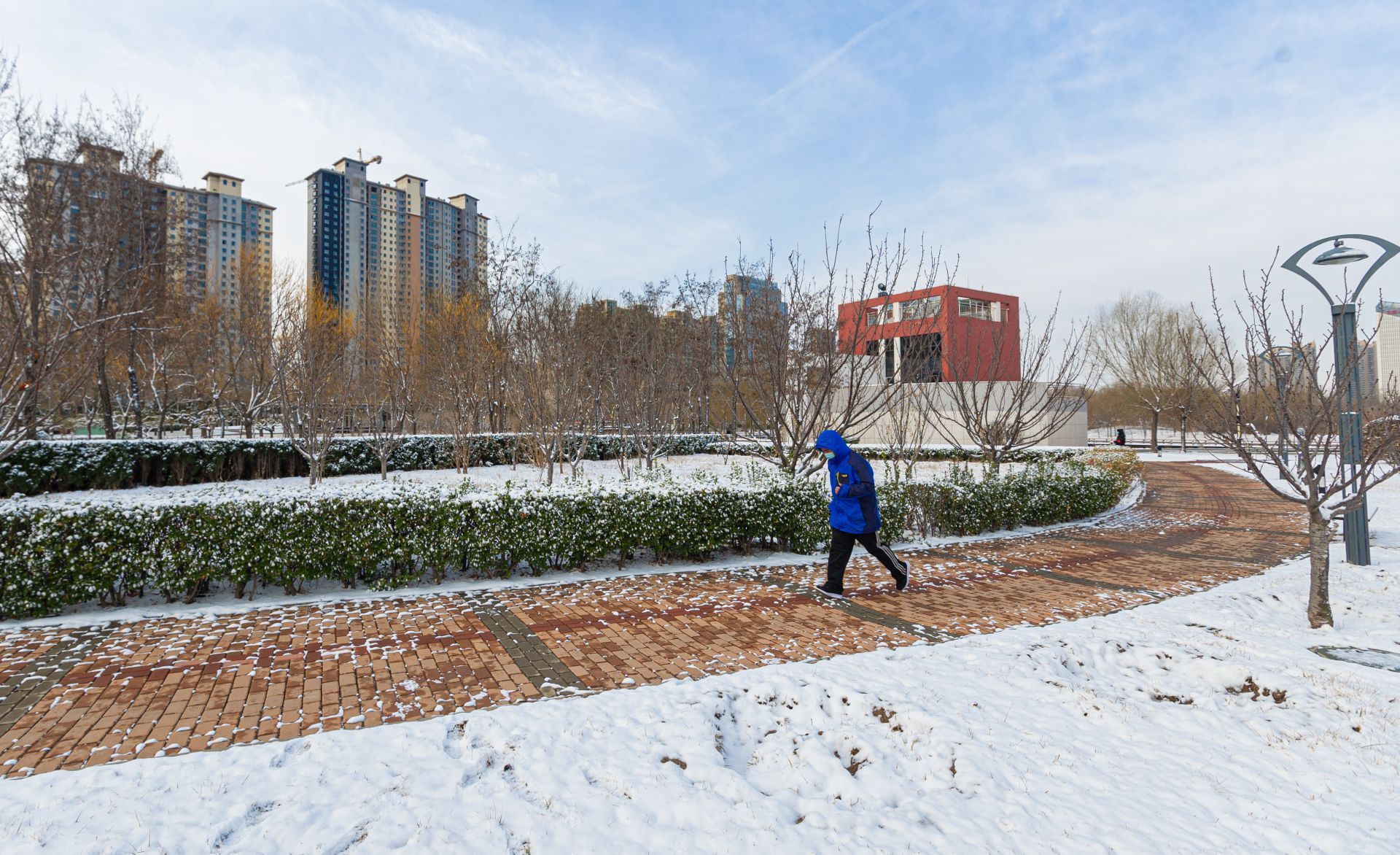  力量■战“疫”之城！力量之城！瑞雪里，大美德州