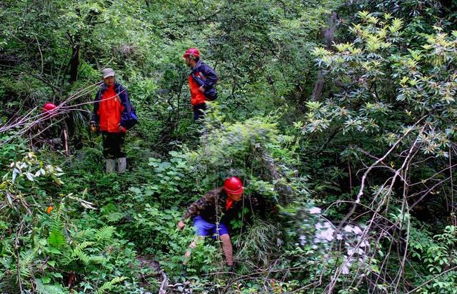 告诉你一个事实千万不要惊讶 距离成都百公里有个“非洲丛林”！