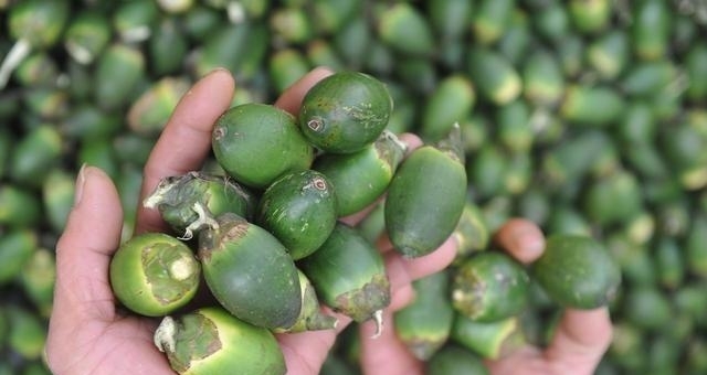 我国是第二大出口国，美国已禁售，这水果真的致癌？有没有猫腻？