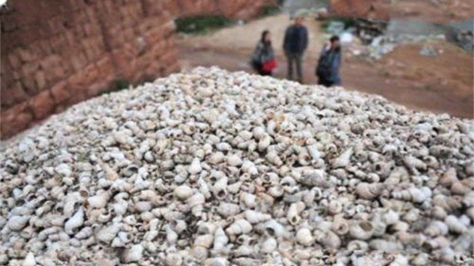 3500年前原始人类吃剩下的螺蛳壳，竟成了遗址，就在云南这里!