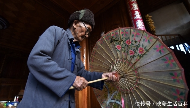  #上漆#这种树叫做“油桐树”，山里人用它给棺材上漆，种子曾卖5