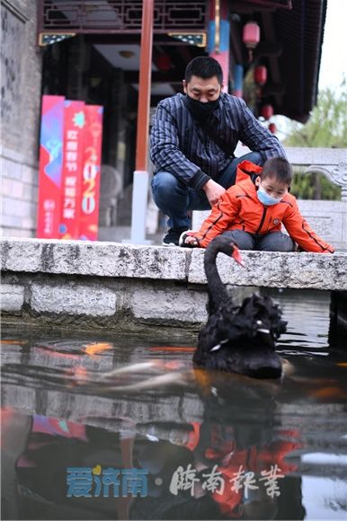  济南■济南百花洲恢复开放 暂不连通老城区