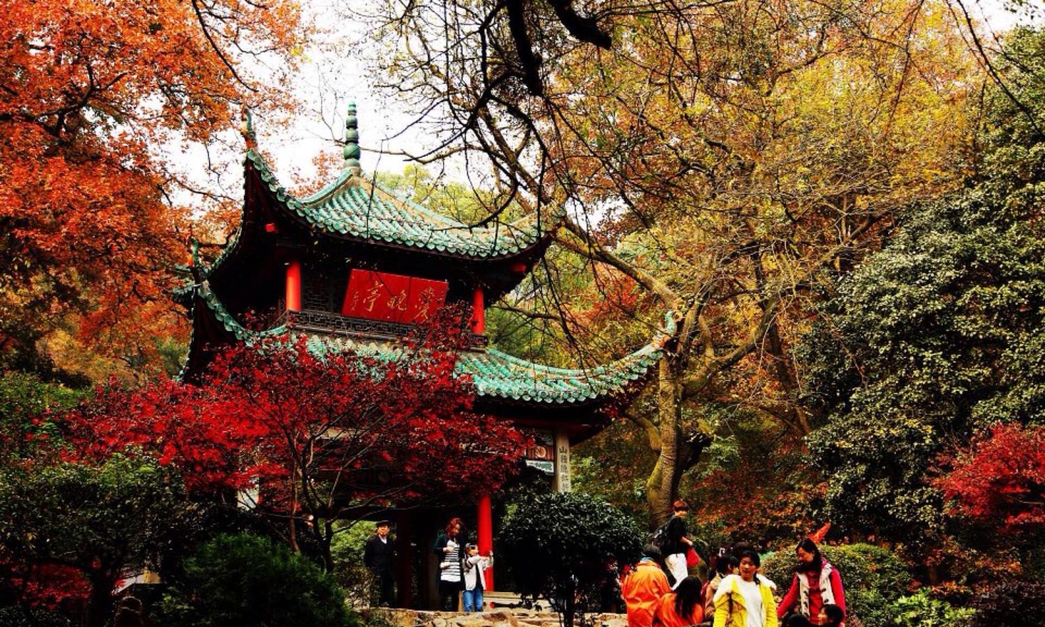 仅次于武汉的中部第二大都市, 如今变为“水上之城”