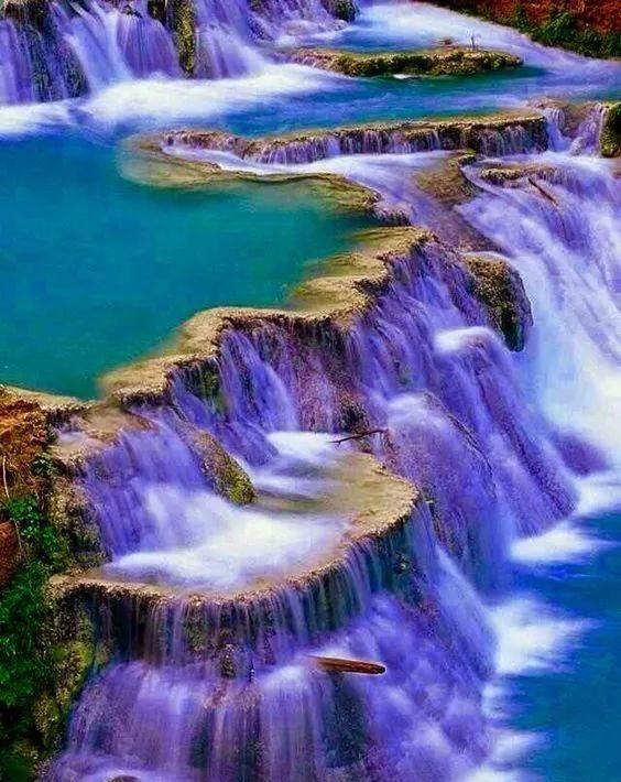 50张令人尖叫的照片，绝对够震撼