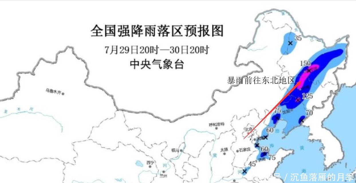 埃里克升到11级！台风低压将生成，权威预报山东局部或有强降雨