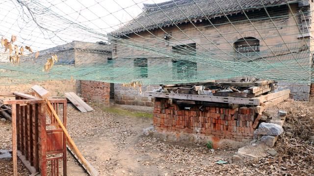  「野鸡」90年后，年轻人在城市创业困难，回到农村养鸡，只卖给