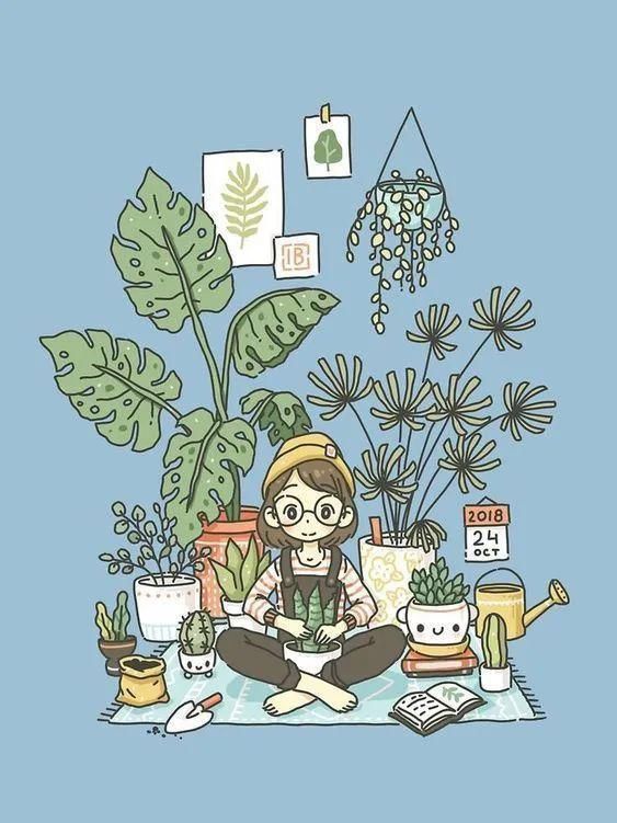 「本大叶伞」别人家这些时髦又好看的绿植到底叫什么?