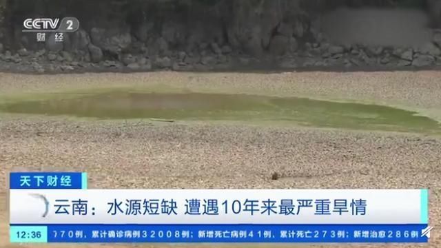  『干涸』云南遭受近10年来最严重干旱：全省100条河断流，180座水库干涸