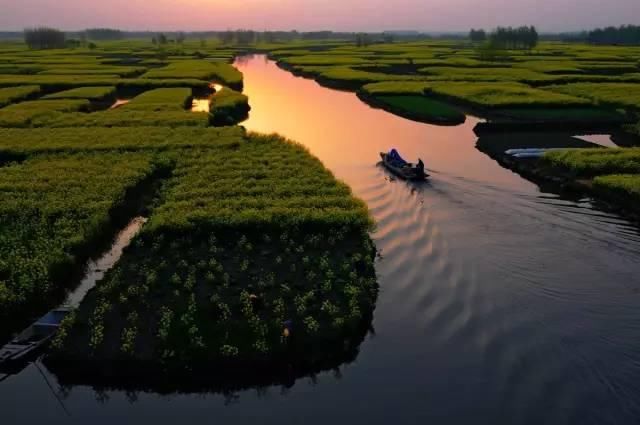 最江南的花海：惊艳不输婺源，情调不输威尼斯