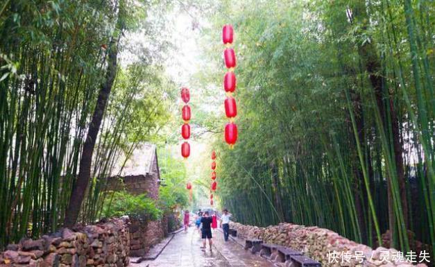  历史：山东这个村子很特别，居住在竹林里面，距今400多年历史！