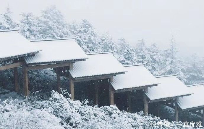 四川阿坝的初雪，成为“表白胜地”？到处都是浪漫的气息！