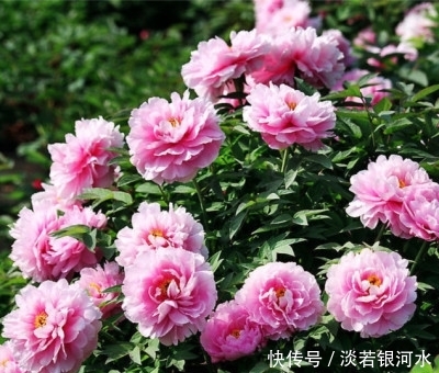 最舍得给老婆花钱的3生肖男,只要老婆快乐就