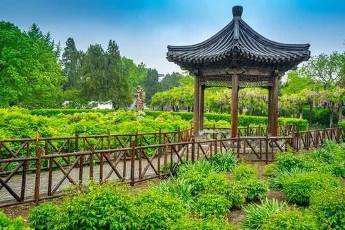 山东唯一免费的5A级古城景区，隐藏了7000年，还曾做过国都