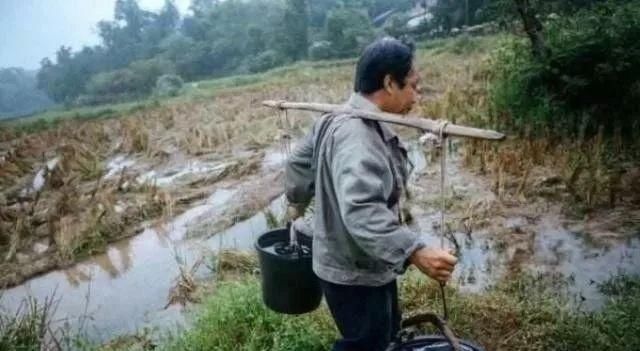  农民：身份证1969-1979年出生的农民，已面临的三大难题