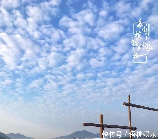  #喜欢#一粥一饭填饱肚子，一屋一花神仙日子！生命不止，玩趣不停！