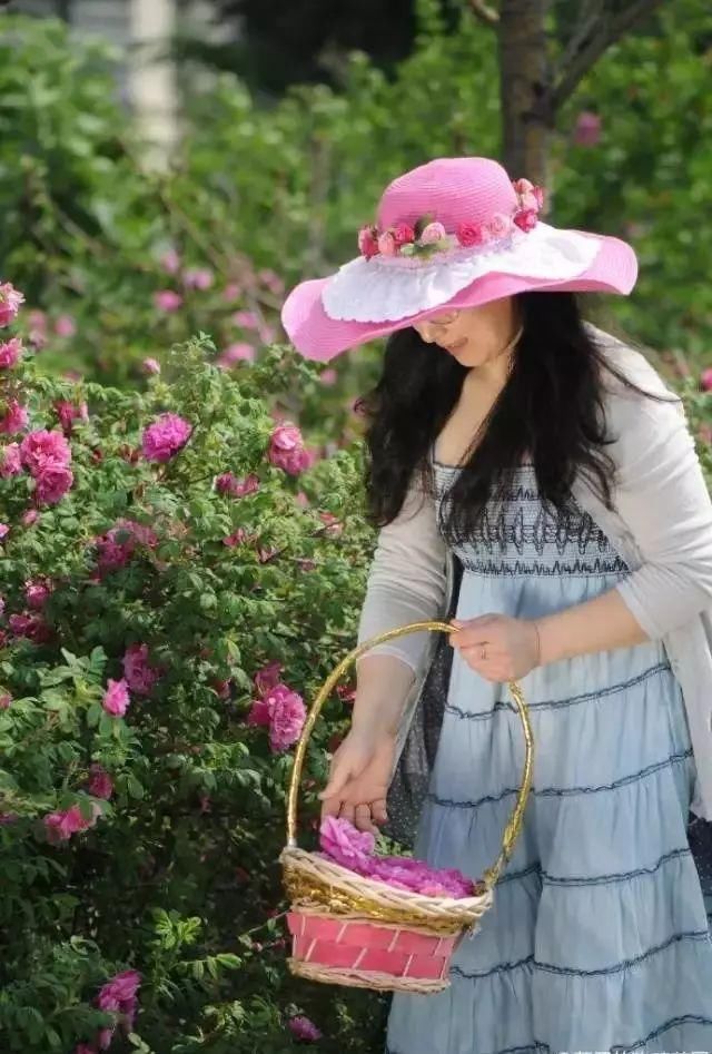  小院：不争朝夕，只闻花香，她花费12年缔造了一座繁花小院