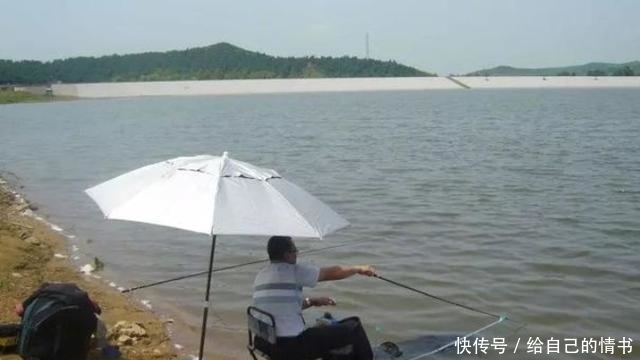 「钓法」五月了,大板鲫只需照我说的钓,不吹不黑,鱼护爆满那都不是事