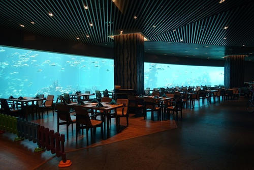 和萌宝的幸福三亚之行