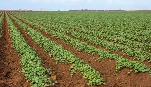 土地承包期延长至2057年，农村新增人口如何获得土地？来看看