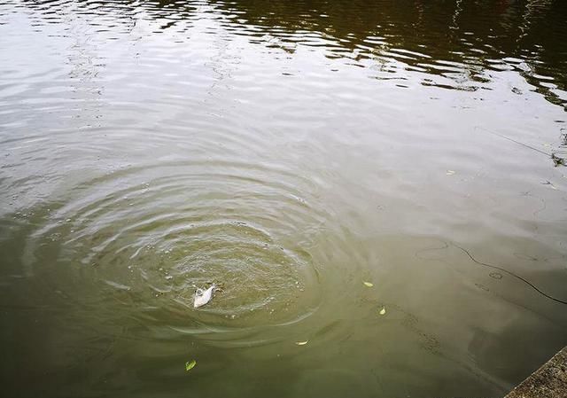  钓好：春季钓鱼，参考这5条实战经验，钓好鱼就是这么容易