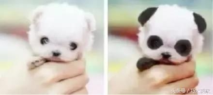 妆后18岁卸妆81岁！这些女生化完妆亲妈都认不出了……