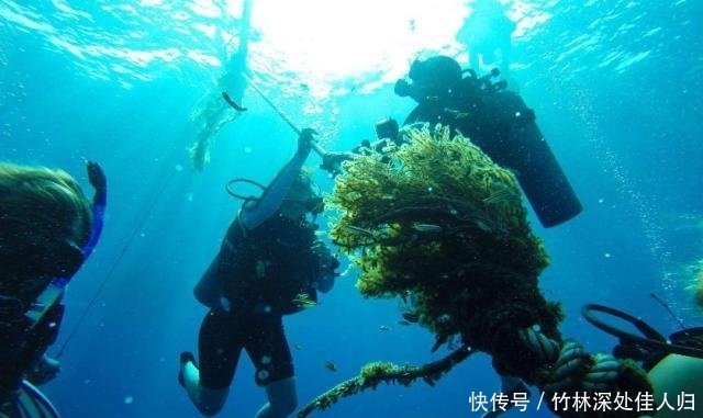 泰国最危险的5个旅游项目，看似很享受的鱼疗，其实暗藏危机