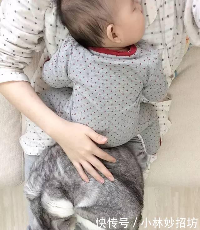 还在相信怀孕不能养宠物吗？ 连央视新闻都出来辟谣了!