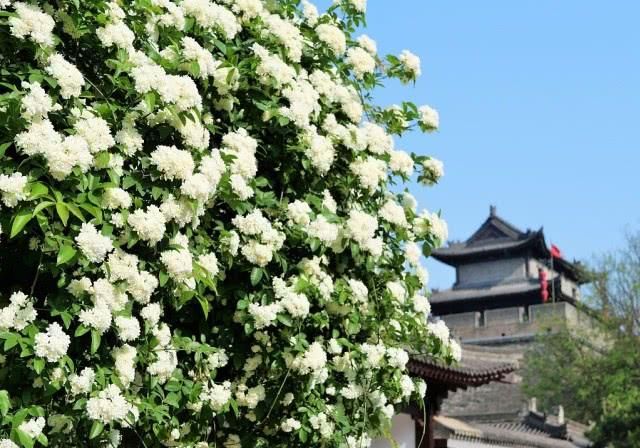  「西安」西安环城公园，进入是自然，转入是历史