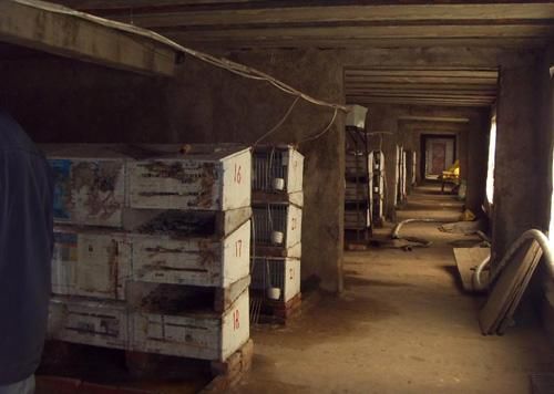 比城里竞争小、来钱快的农村6大创业商机！