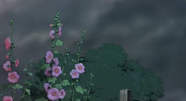  [种花草]墙根小花池可以种植的9种花草，你喜欢哪一种？
