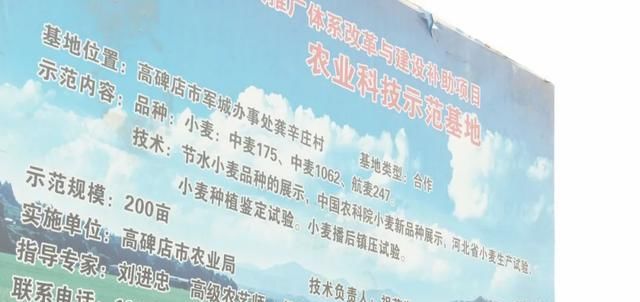 #农民技术协会#小麦拔节了,靠天收不行!听听专家怎么说
