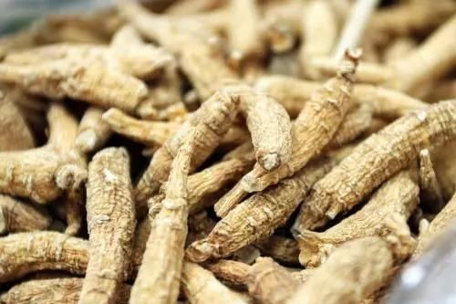 吃哪补哪？虚不受补？是时候揭穿这些养生谣言了