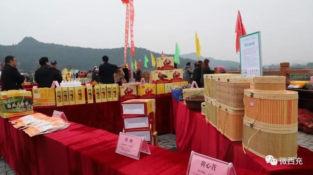  生态■南充西充，你好！