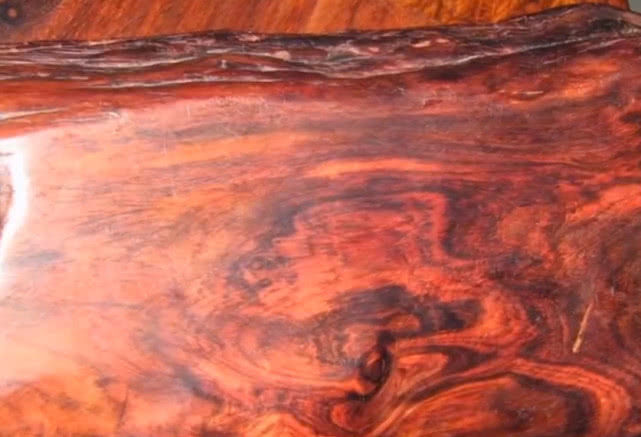 农村一种难得一见的树木，被人当成柴火烧了，殊不知比紫檀珍贵