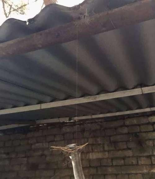 20张不可思议的照片，证明大自然无所不能！