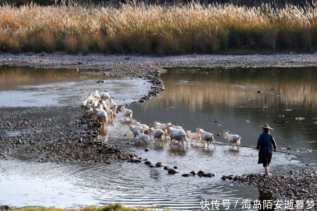 遇见江南秋色：打卡集美与诗意的高颜值浙江山城！