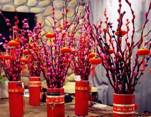  #华丽#家里养几盆这种花，气派非凡，典雅华丽，别有一番景致