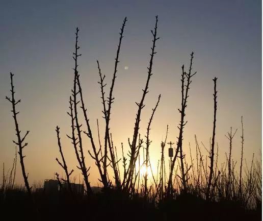 学会这几招,用手机摄影秒杀朋友圈