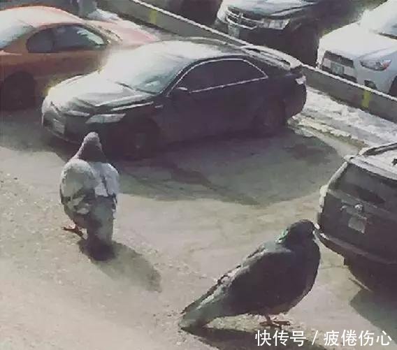 一组错觉照片证明眼见不一定为实！