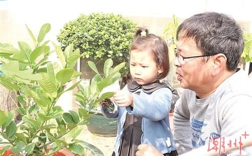  『爱绿护绿』绿了凤城 乐了市民