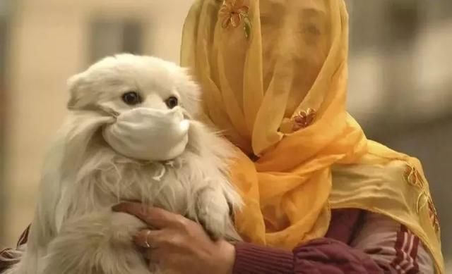 大风、降温、扬沙今天配齐！长袖+口罩切记！