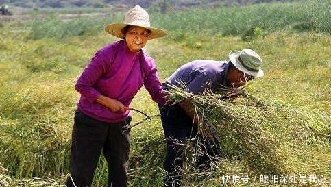  「留意」再过半个月，农村早已被叫停的3件事，又迎来高发期，农