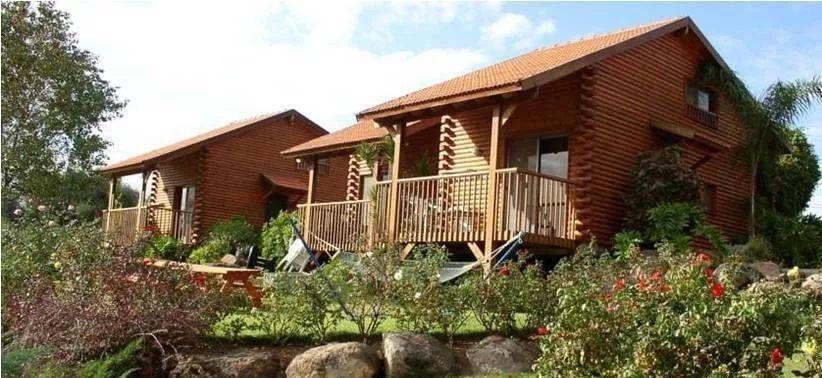  集体农场|这才是真正的“共享农庄”：除了老婆孩子，一切共享