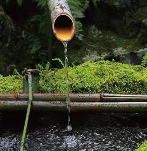 最小的庭院！超美超意境，有仙境的感觉